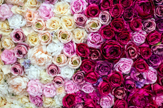 1499332 (a): :2560x1707